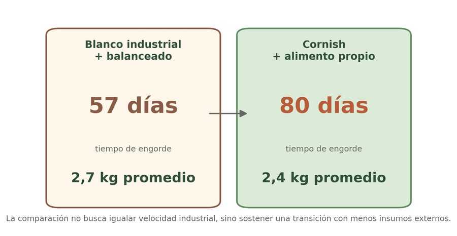 Comparación 57 días vs 80 días