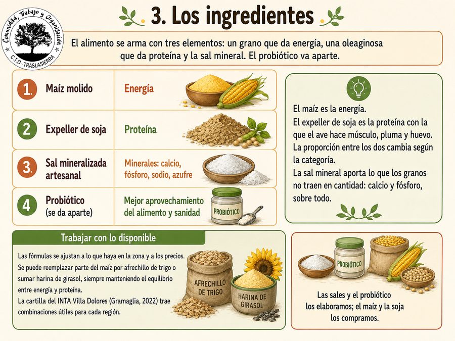 Lámina: Los ingredientes