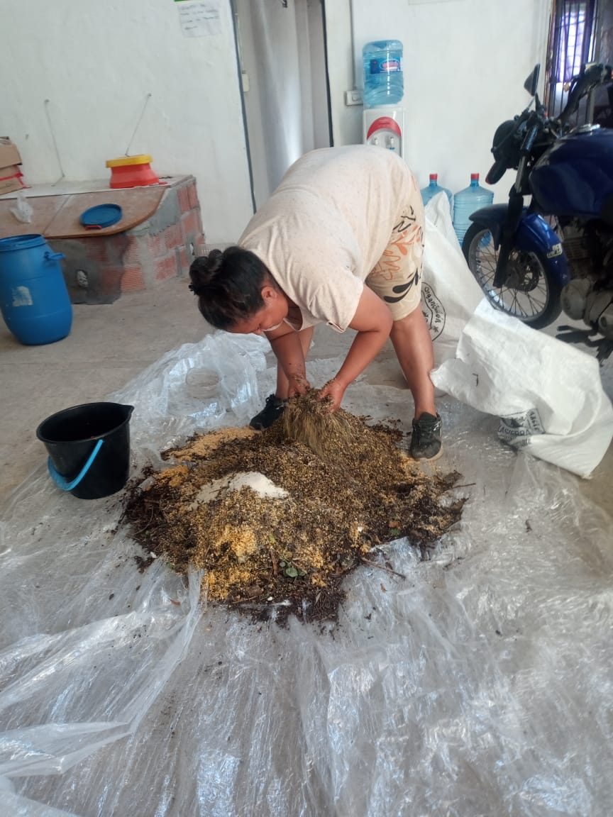 Productora mezclando el probiótico sólido
