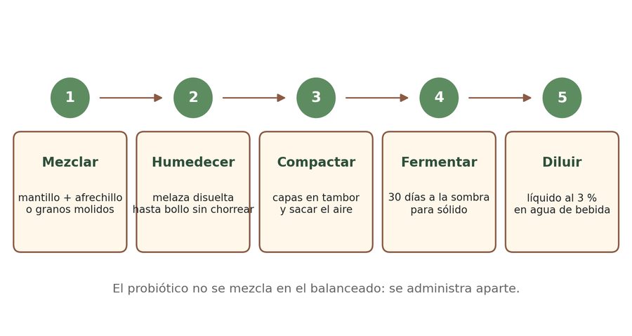 Secuencia de 5 pasos del probiótico