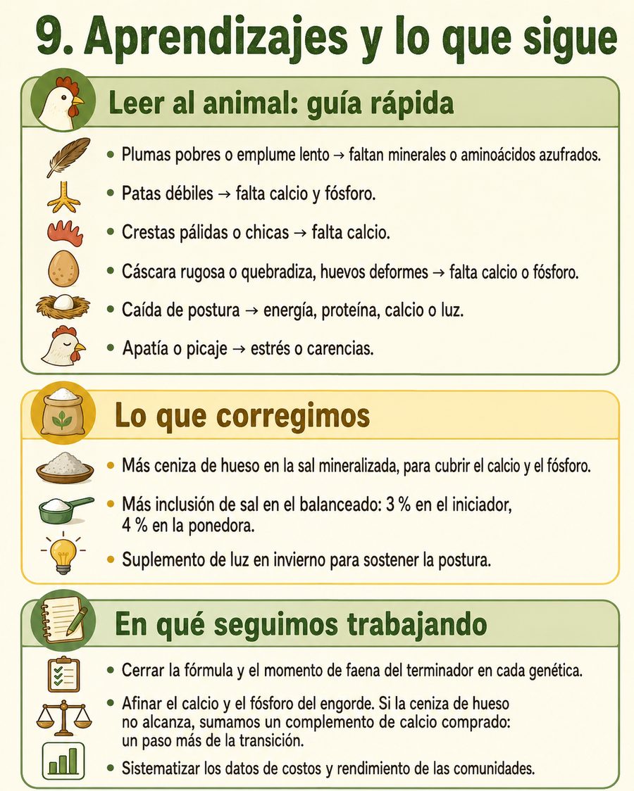 Lámina: Aprendizajes y lo que sigue