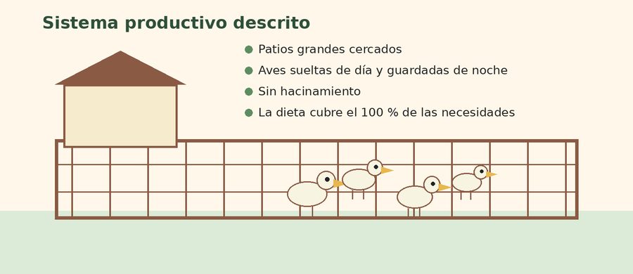 Diagrama del sistema productivo