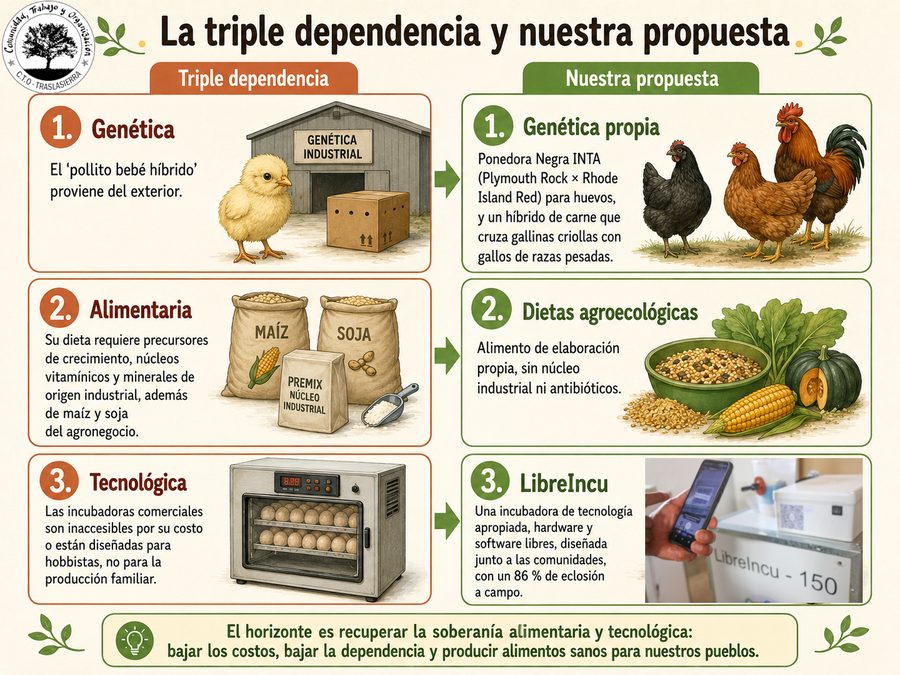 Lámina: La triple dependencia y nuestra propuesta